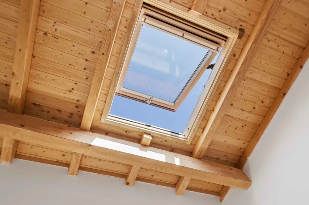 Velux à Epinouze 